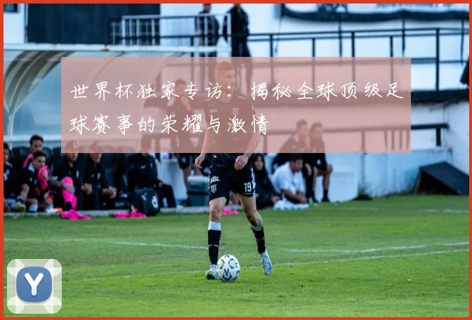 世界杯独家专访：揭秘全球顶级足球赛事的荣耀与激情
